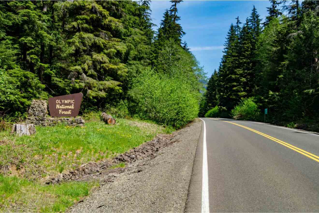 Sign for the Olympic National Forest along a road, signaling the transition into the dense, green woodland area, a part of the broader Olympic National Park region