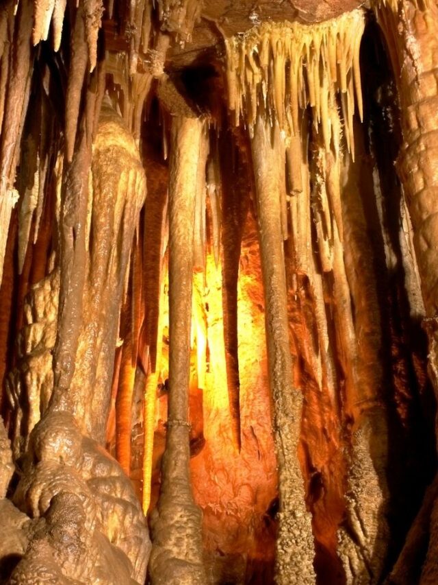5 Areas Where to Stay Near Mammoth Cave Miss Tourist