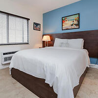 Simple and cozy hotel room with a queen bed, blue accent wall, and framed artwork