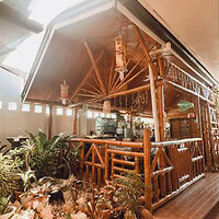 Indoor cafe with wooden decor and abundant green plants, featuring a bar setup and open beam ceiling.