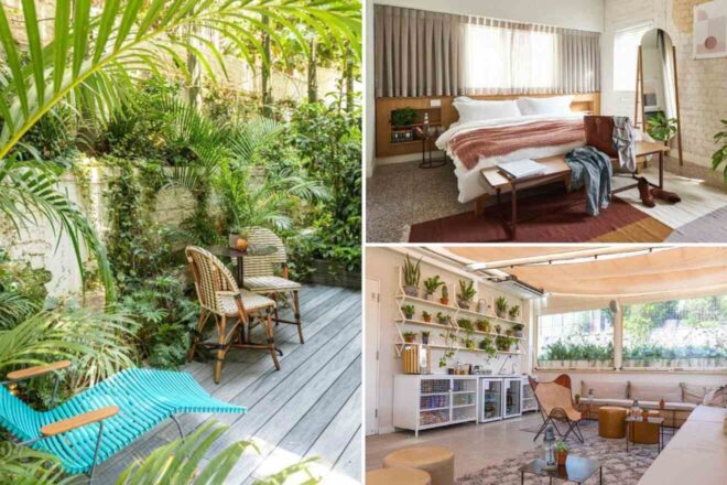 A collage of three photos showcasing serene stays in Tel Aviv: a lush private patio with abundant greenery and wicker chairs, a cozy bedroom with warm wood tones and a large window, and a creative indoor space with wall-mounted plants and a comfy lounge area.