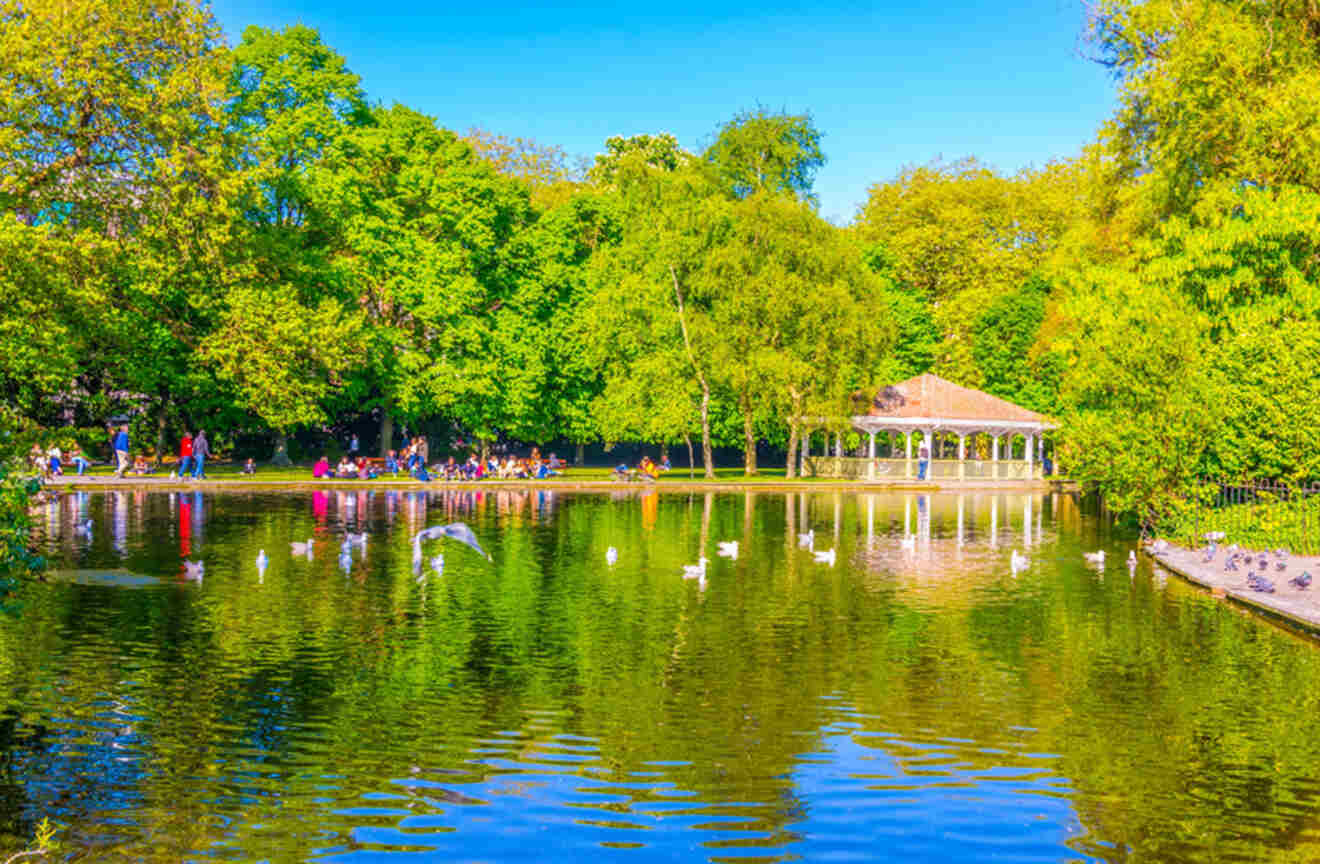 Lush greenery and a serene pond with swans at St. Stephen's Green Park in Dublin, with a gazebo in the background.