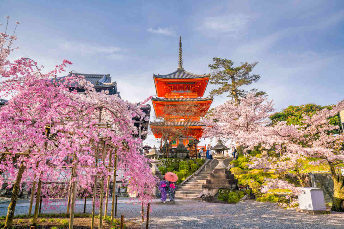 A picturesque view of a Kyoto temple with a towering pagoda surrounded by full cherry blossom trees and visitors in traditional attire
