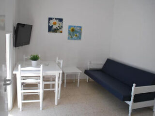 Bright and airy apartment with a simple dining set, a blue sofa bed, and daisy artwork