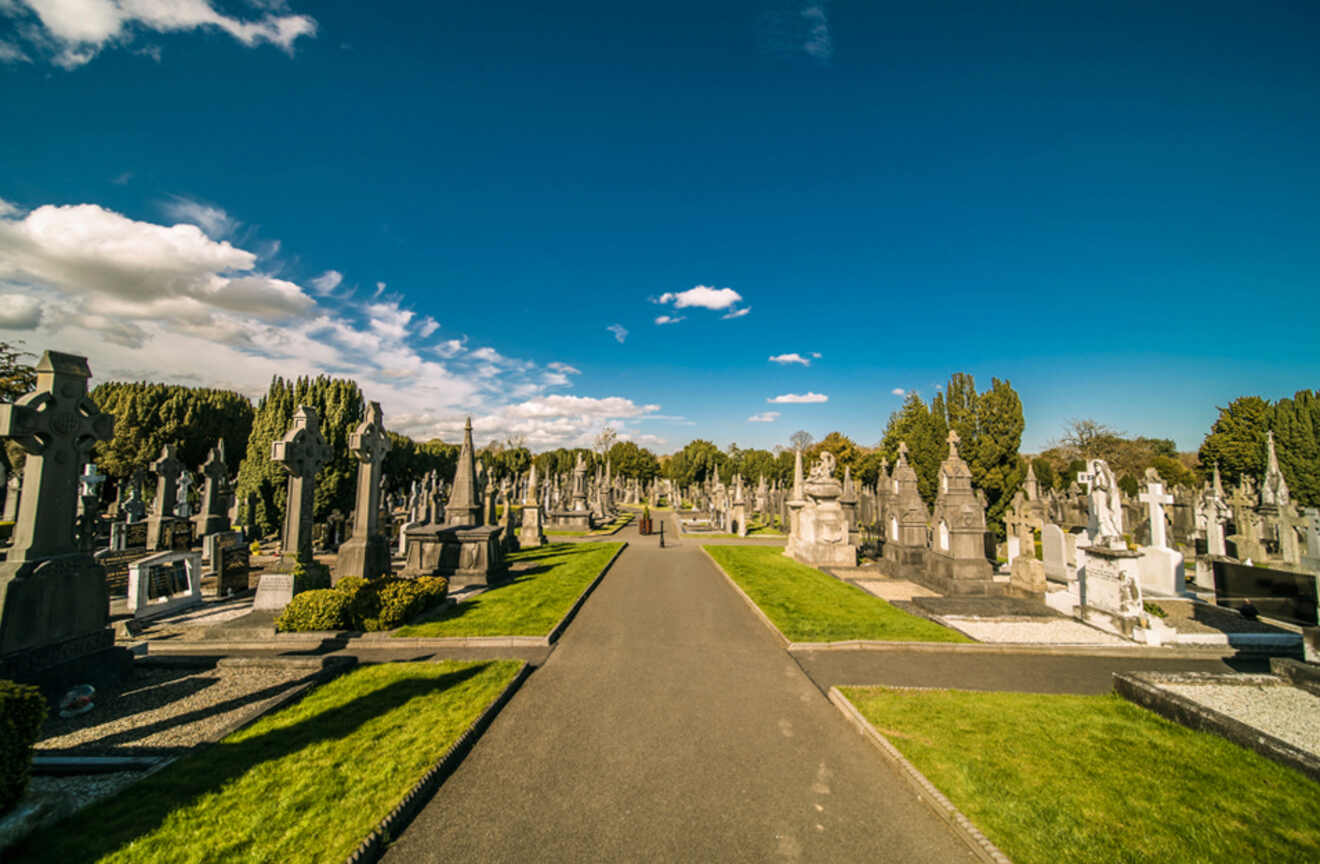 The tranquil and orderly landscape of Glasnevin Cemetery in Dublin, with headstones and memorials lining the paths under a bright sky.