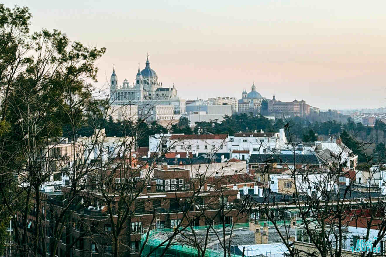 Panoramic view of Madrid's skyline at dusk featuring the Almudena Cathedral and Royal Palace amidst residential buildings, seen from a distance through bare trees.
