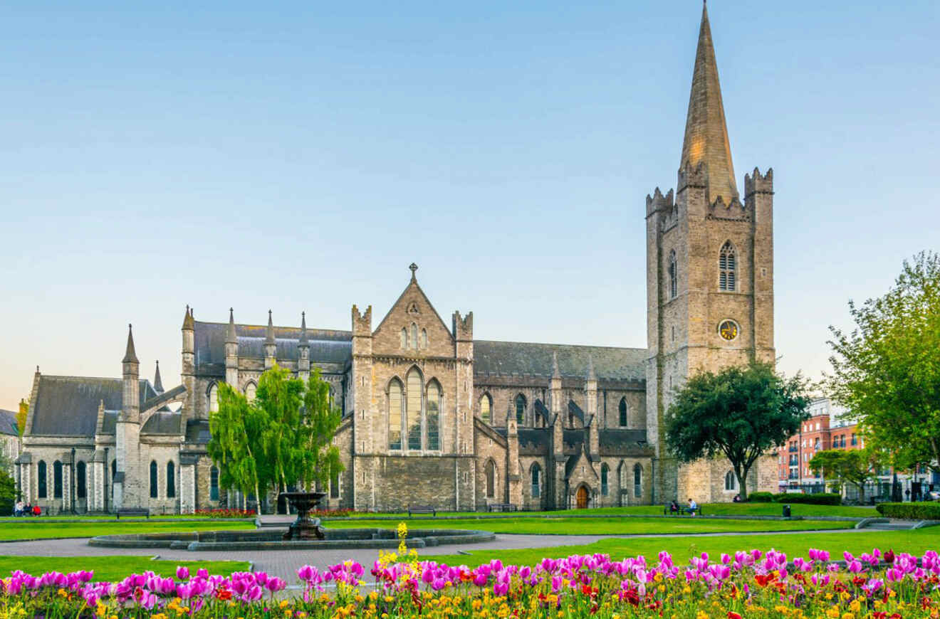 St. Patrick's Cathedral in Dublin, viewed across a garden of vibrant pink and yellow tulips at dusk, with the gothic church's spire reaching into the sky.