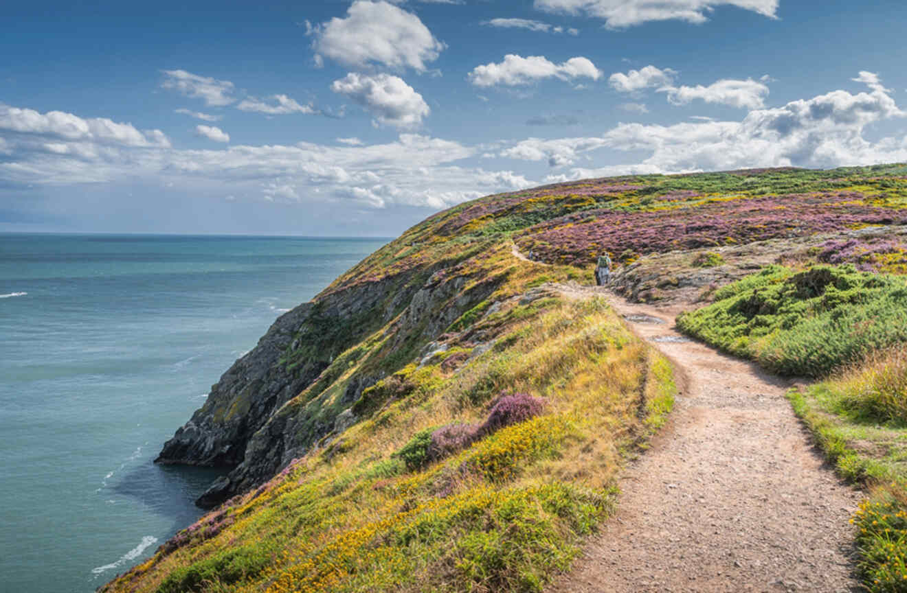 The scenic Howth Cliff Walk near Dublin, with a coastal path winding along the hillside, purple heather blooming, and the sea stretching into the distance.