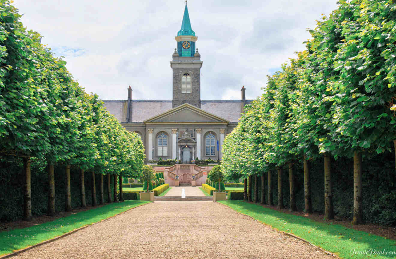 The symmetrical tree-lined pathway leading to the Irish Museum of Modern Art in Dublin, with the building's classic facade and clock tower centered in the background.