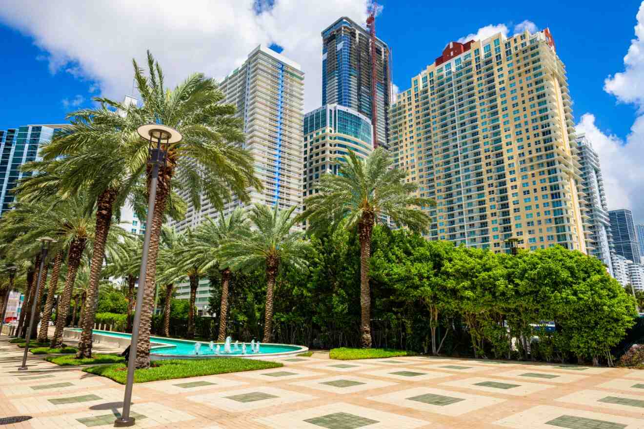 Lush park in Brickell with rows of palm trees and towering skyscrapers in the background, reflecting Miami's vibrant local vibe.