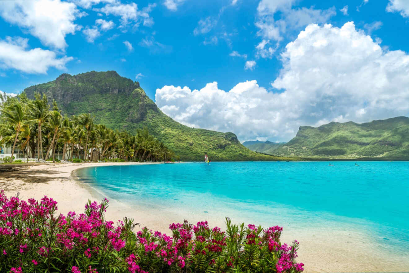 Idyllic beach in Mauritius with pink blossoms in the foreground, turquoise water, and a mountainous backdrop