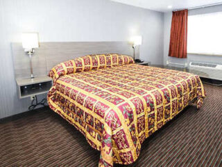 Simple hotel room with a king-sized bed covered in a bold red and gold patterned comforter