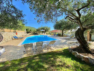 Rural poolside setting with chairs under the shade of olive trees.