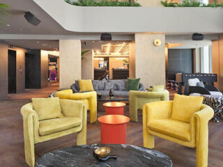 Luxurious lounge with plush yellow armchairs, chic decor, and a laid-back ambiance