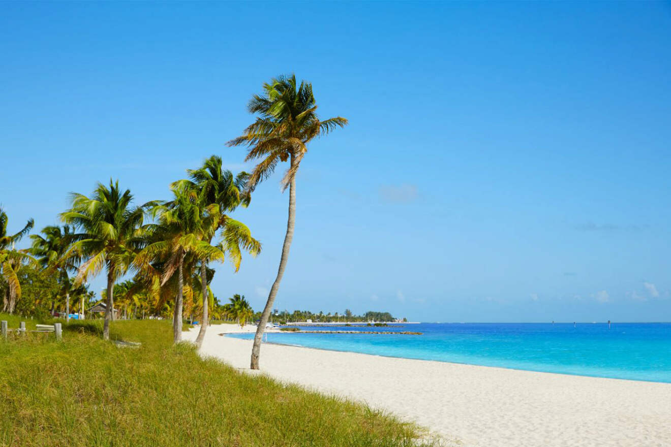 Idyllic white sand beach with scattered palm trees and turquoise water at Key West