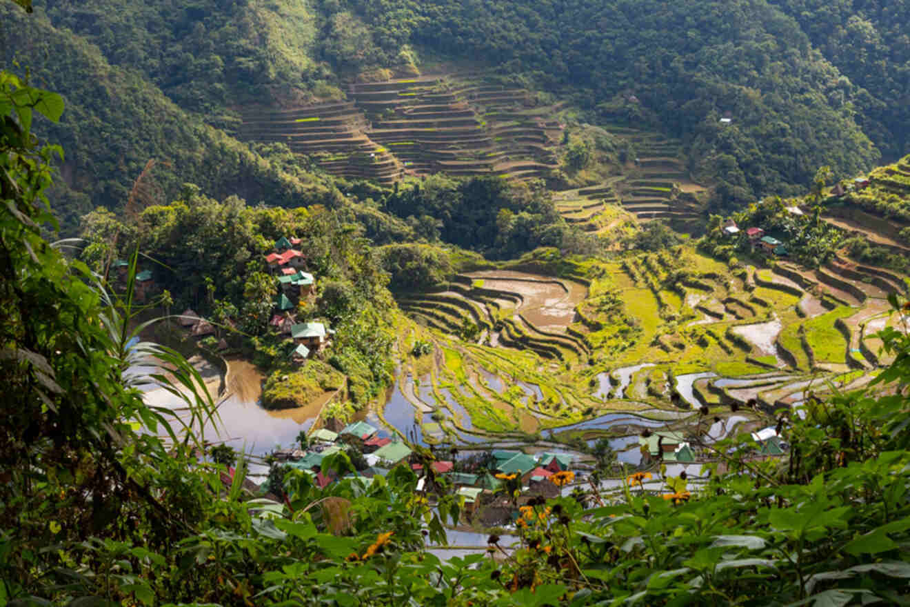Lush green terraced rice fields with small village buildings nestled in a valley surrounded by forested hills.