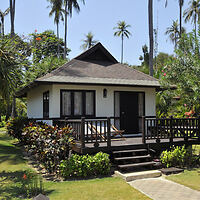 A charming bungalow surrounded by lush gardens and tall palm trees.