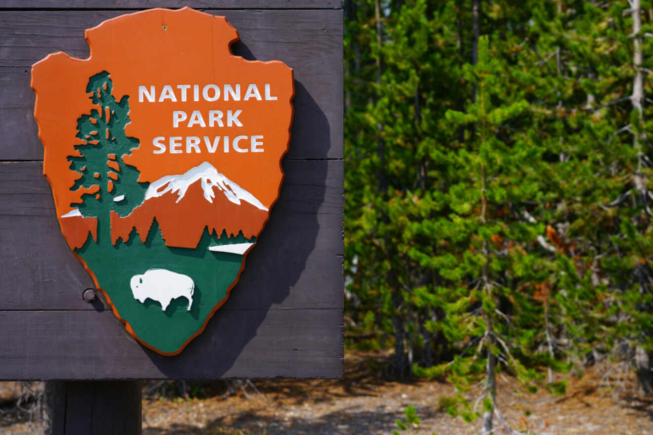 Close-up of a National Park Service sign featuring a tree, mountains, and bison emblem mounted on a wooden board with a forested background.