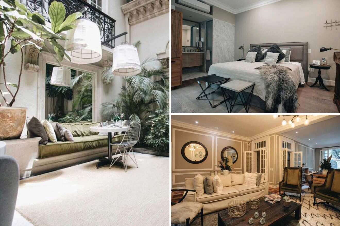 A collage of three boutique hotel photos to stay in Mexico City: a lush plant-filled outdoor sitting area, a cozy bedroom with modern furnishings, and a classic styled living room with neutral tones.