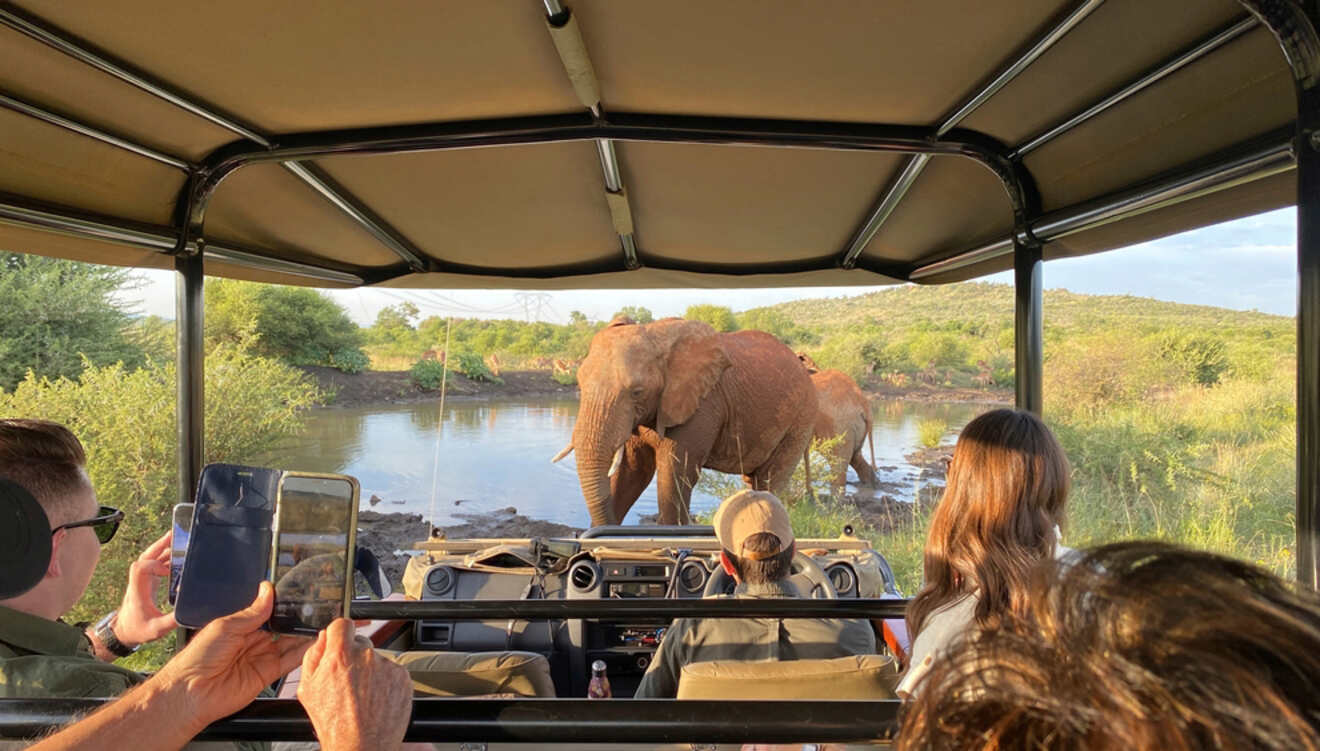 View from a safari vehicle showing three elephants standing in a waterhole, while four people inside the vehicle observe and take photos.