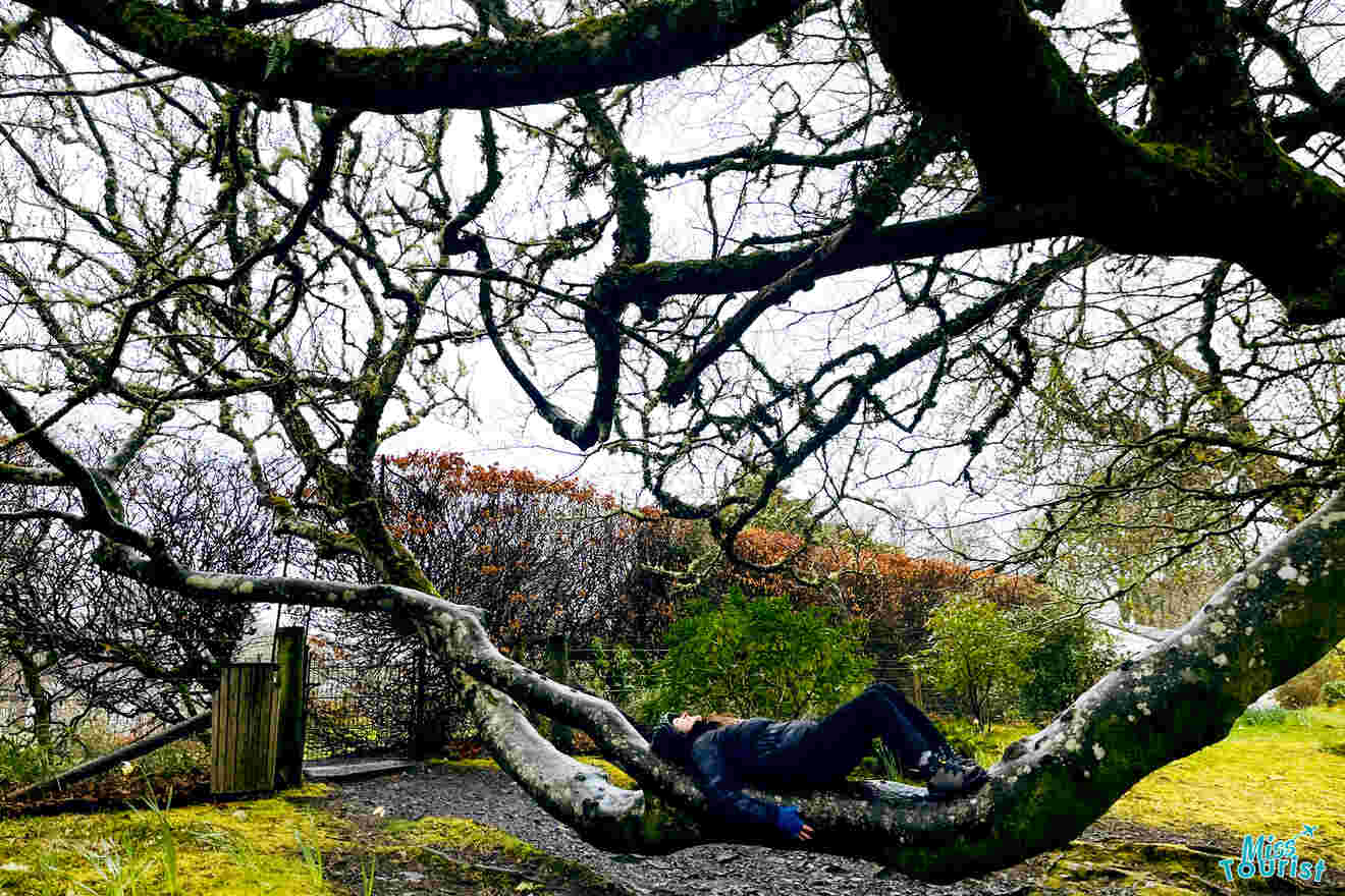 Author of the post lying down on a thick, horizontal tree branch, surrounded by a garden with bushes and trees.