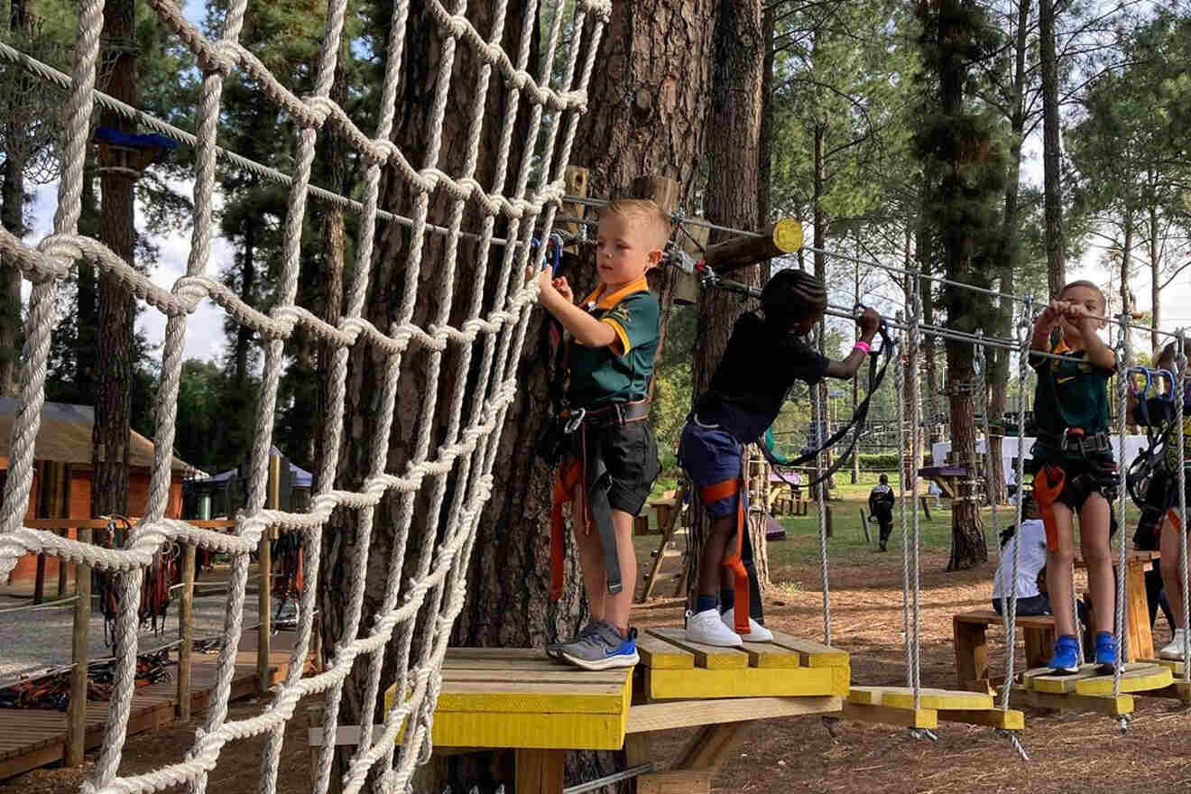 Three children equipped with harnesses navigate a treetop adventure course amid tall trees. One climbs a rope net, one is on a platform, and another crosses a bridge.