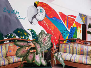 A living area with patterned couches, a potted plant, and a colorful wall mural depicting a red parrot and the words "Pura Vida".
