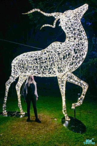 author of the post stands next to a large, illuminated wireframe deer sculpture at night.