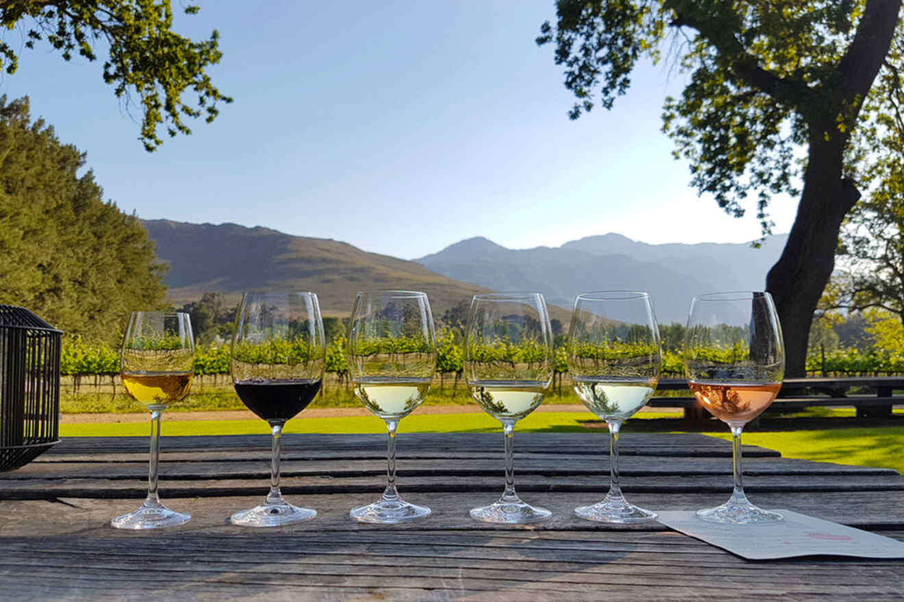 Six wine glasses containing different types of wine are arranged on a wooden table outdoors with a vineyard and mountain range in the background.