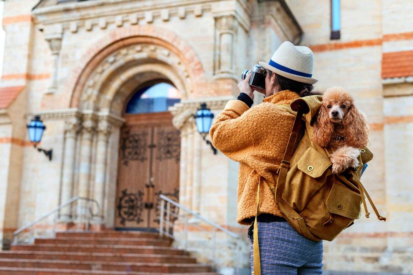 Person photographing a building while a small dog peeks out of the backpack on their back. The building has an ornate wooden door and stone steps leading up to it.