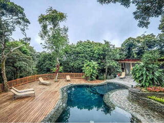 Curved pool with stone edge, wooden deck, lounge chairs, and lush green trees surrounding the area under a cloudy sky.
