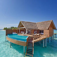 Overwater bungalow with a thatched roof, private deck, and infinity pool, situated above clear turquoise waters with a small island in the background.