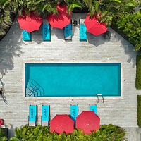 Aerial view of a rectangular pool surrounded by blue lounge chairs and red umbrellas, bordered by greenery.