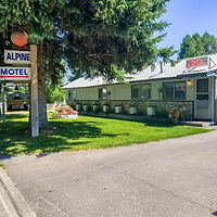 A small, single-story motel with an exterior sign reading "Alpine Motel." The motel is surrounded by well-maintained grass and a few flowering plants.