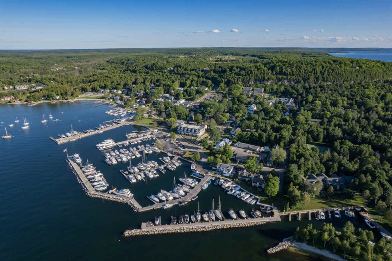 Aerial view of a coastal town featuring numerous boats docked at a marina, surrounded by dense greenery and residential buildings.