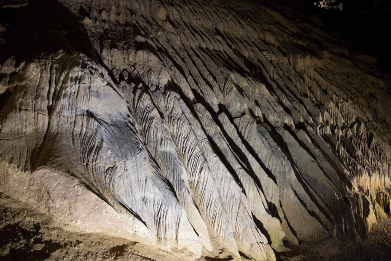The textured interior rock formations of Wookey Hole, a famous cave attraction.