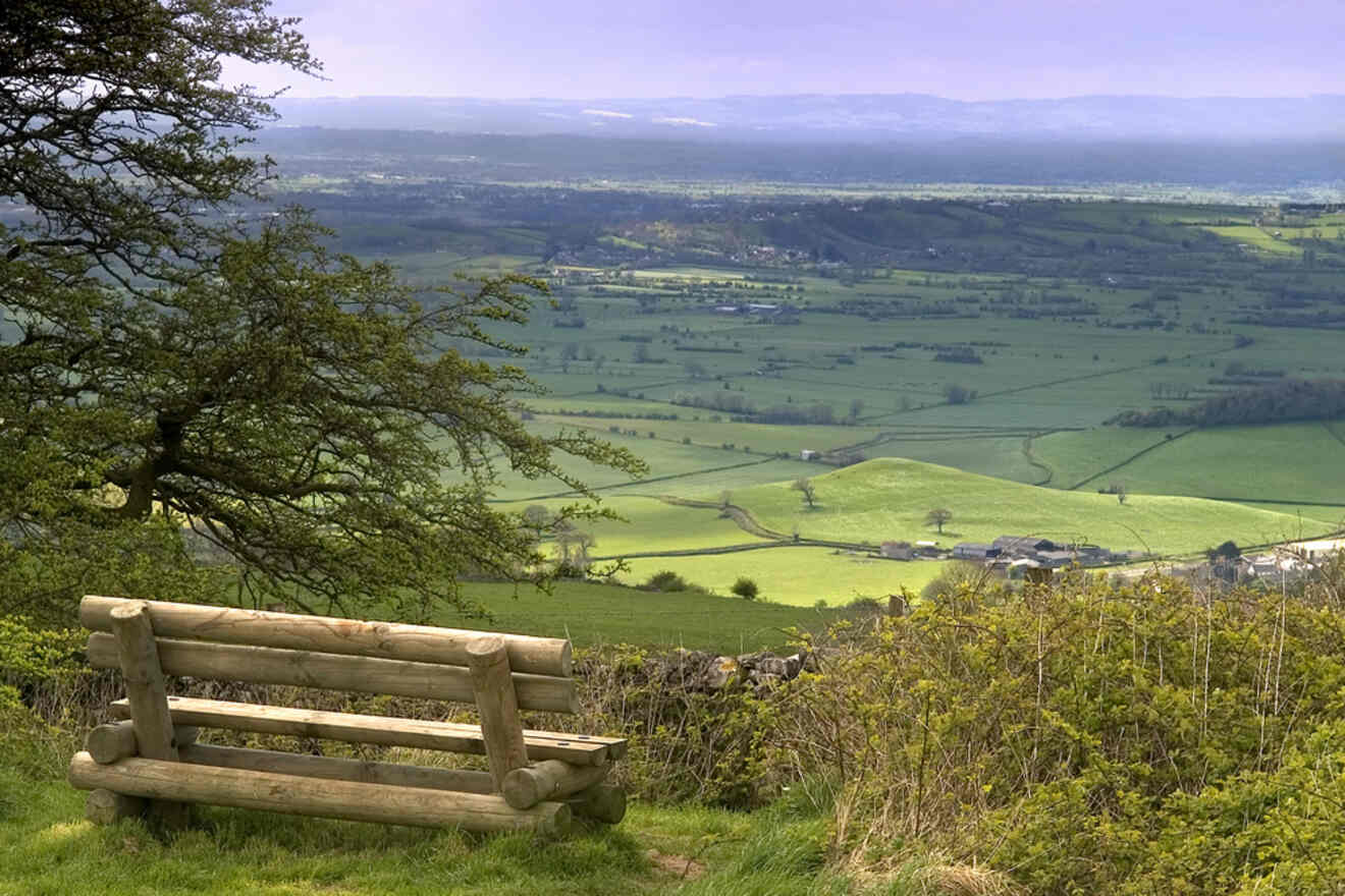 A wooden bench overlooking a vast green countryside landscape.