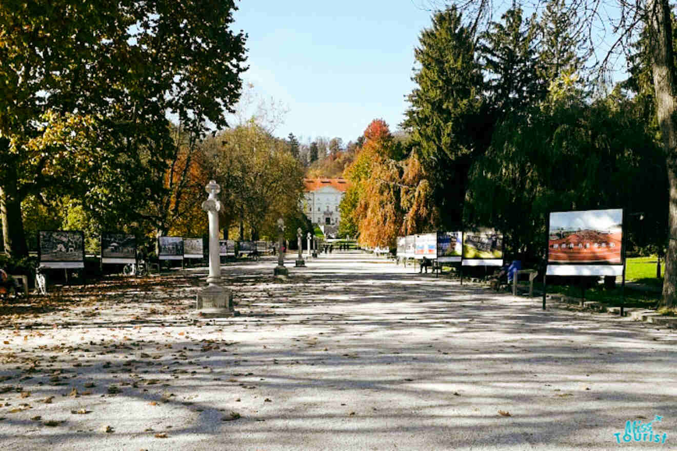 A wide path in a park is flanked by trees with fall foliage and outdoor art displays, leading to a distant building under a clear blue sky.