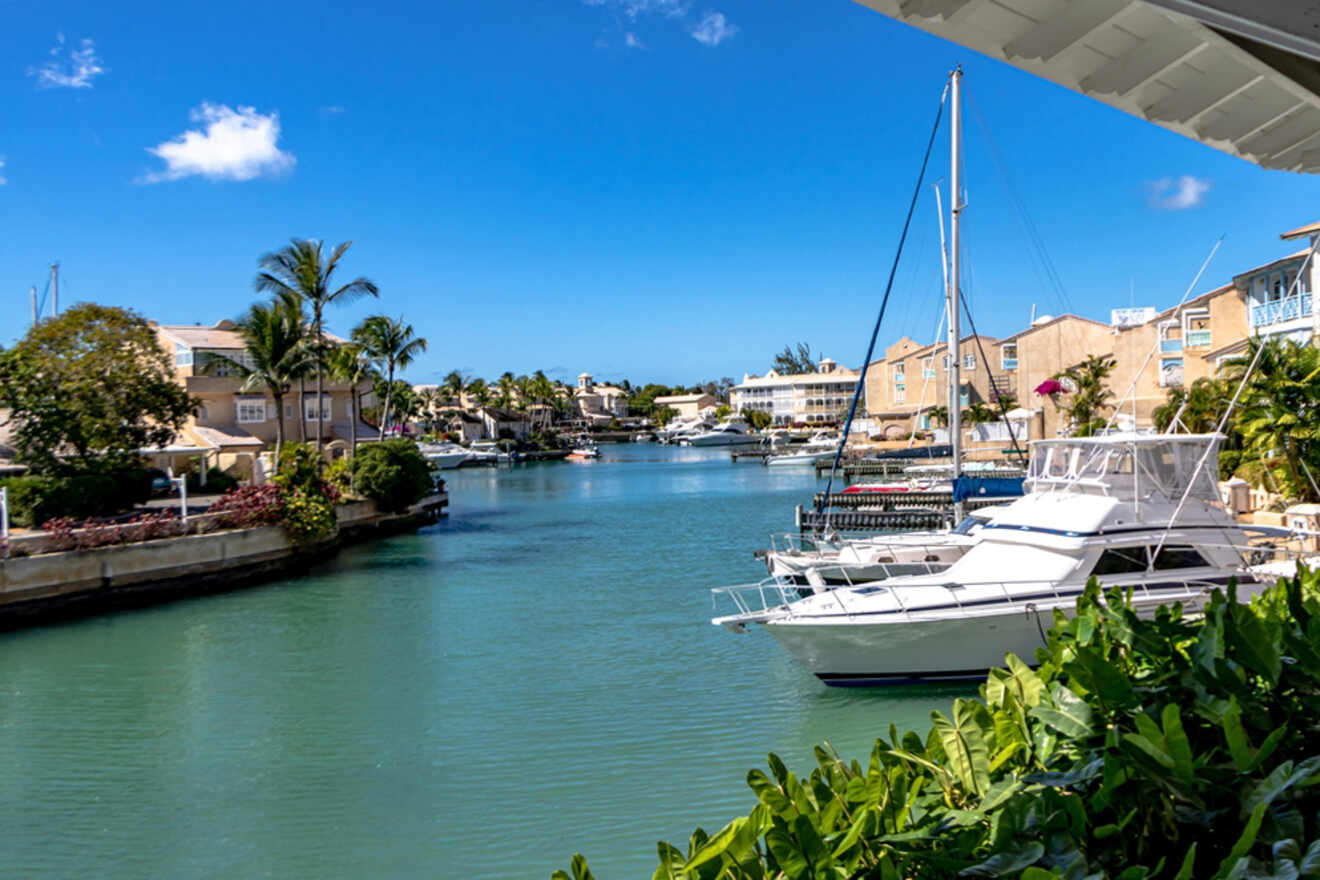 A scenic waterfront view featuring docked boats, calm blue water, waterfront homes, and tropical palm trees under a clear blue sky.