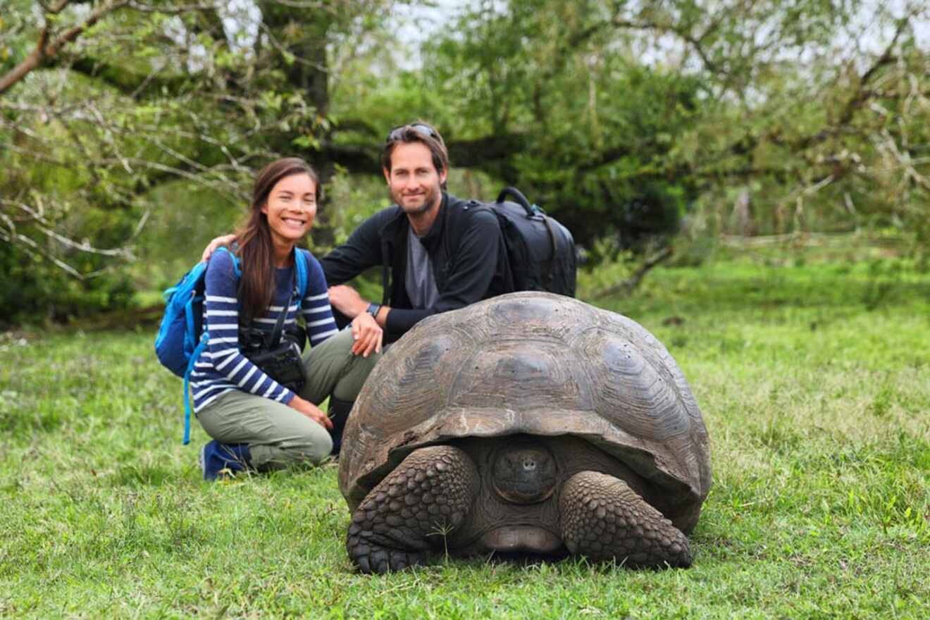 Two people squatting and smiling next to a large tortoise in an outdoor, grassy area with trees in the background.