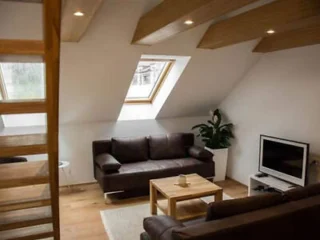 A modern loft-style living room with exposed wooden beams, two brown sofas, a small coffee table, a potted plant, a skylight, a flat-screen TV, and wooden flooring.
