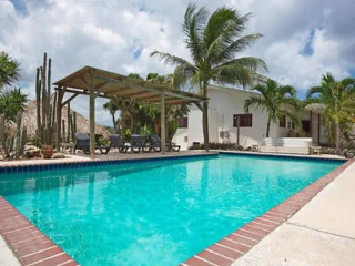 A backyard with a swimming pool, surrounded by palm trees and a white building, features lounge chairs under a pergola.
