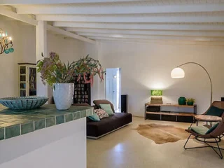 A living room with white walls and exposed beams, featuring a dark sectional sofa, a floor lamp, a rug, a bookshelf, and a counter topped with potted plants and a decorative bowl.