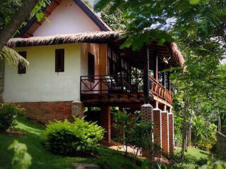 A charming elevated bungalow with a thatched roof, nestled among lush greenery.