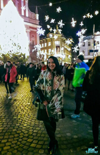 author of the posts stands smiling in a festive, illuminated street at night, surrounded by people, snowflake decorations, and a brightly lit tree.