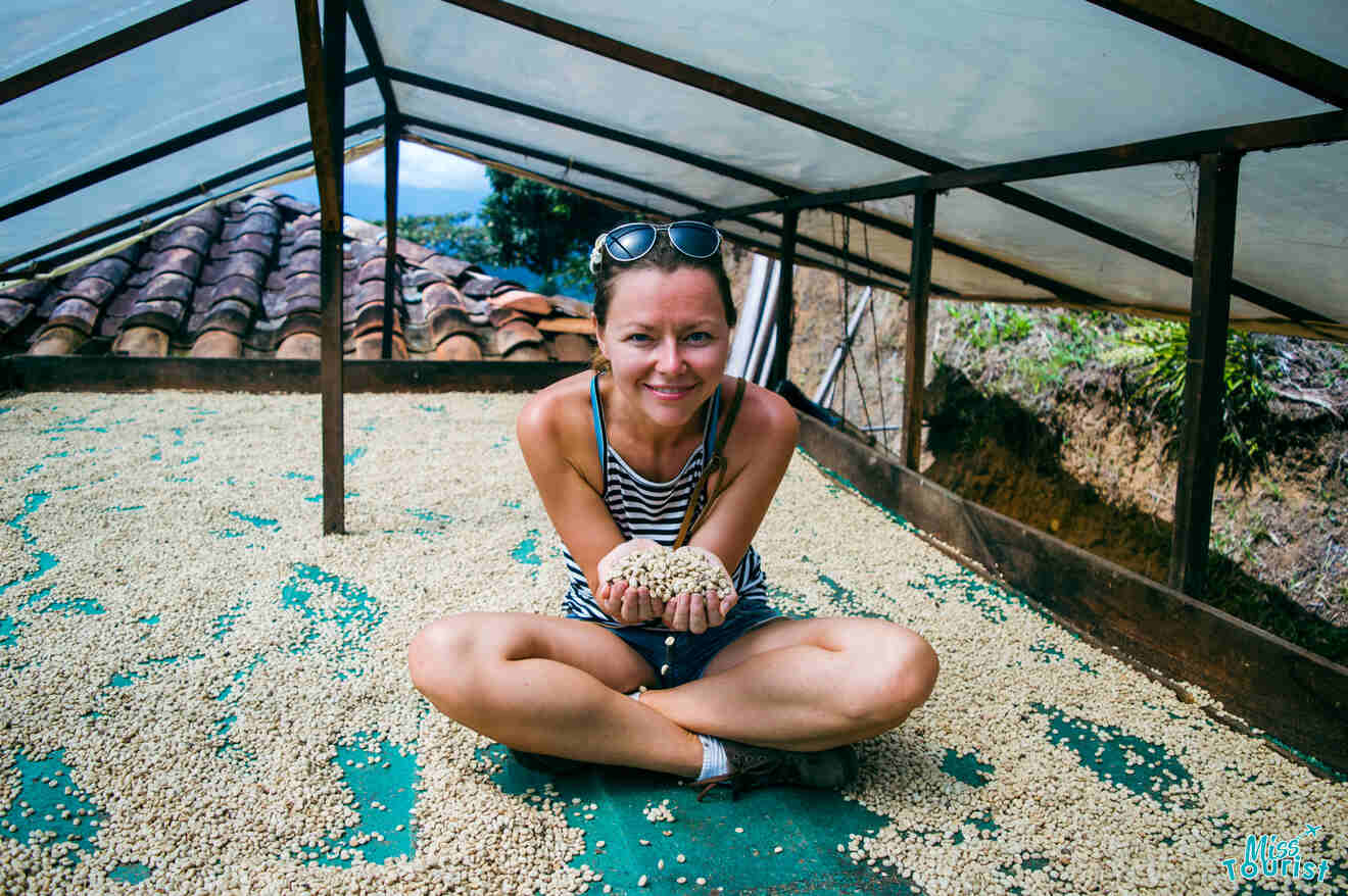 Yulia, la fundadora de este sitio web, sentada en una cama de secado al sol sosteniendo granos de café bajo un techo transparente, rodeada de más granos.