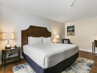Hotel room with a large bed, two bedside tables with lamps, a chair, a desk, and a framed picture on the wall. The room has neutral-colored walls and a rug on the floor.