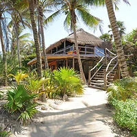 A two-story thatched-roof building surrounded by palm trees on a sandy path, with wooden stairs leading to the upper level.