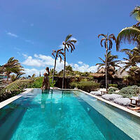 A person stands at the edge of a clear blue outdoor swimming pool surrounded by tropical plants and palm trees under a sunny sky.