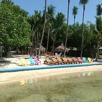 A beachfront with several colorful lounge chairs lined up on the sand facing the water, surrounded by palm trees and thatched-roof huts in the background.